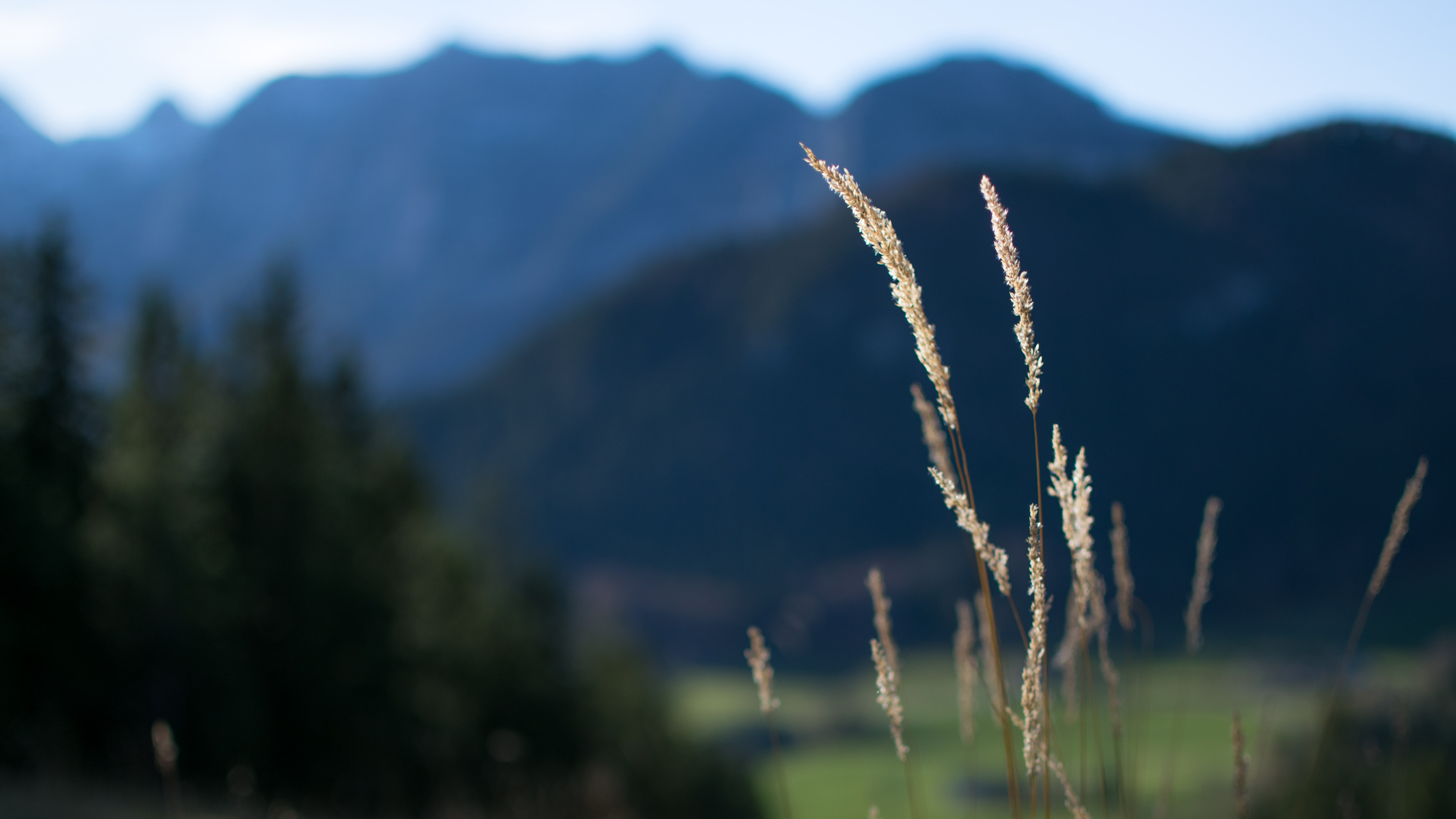 20171026 150146 DSC 5451