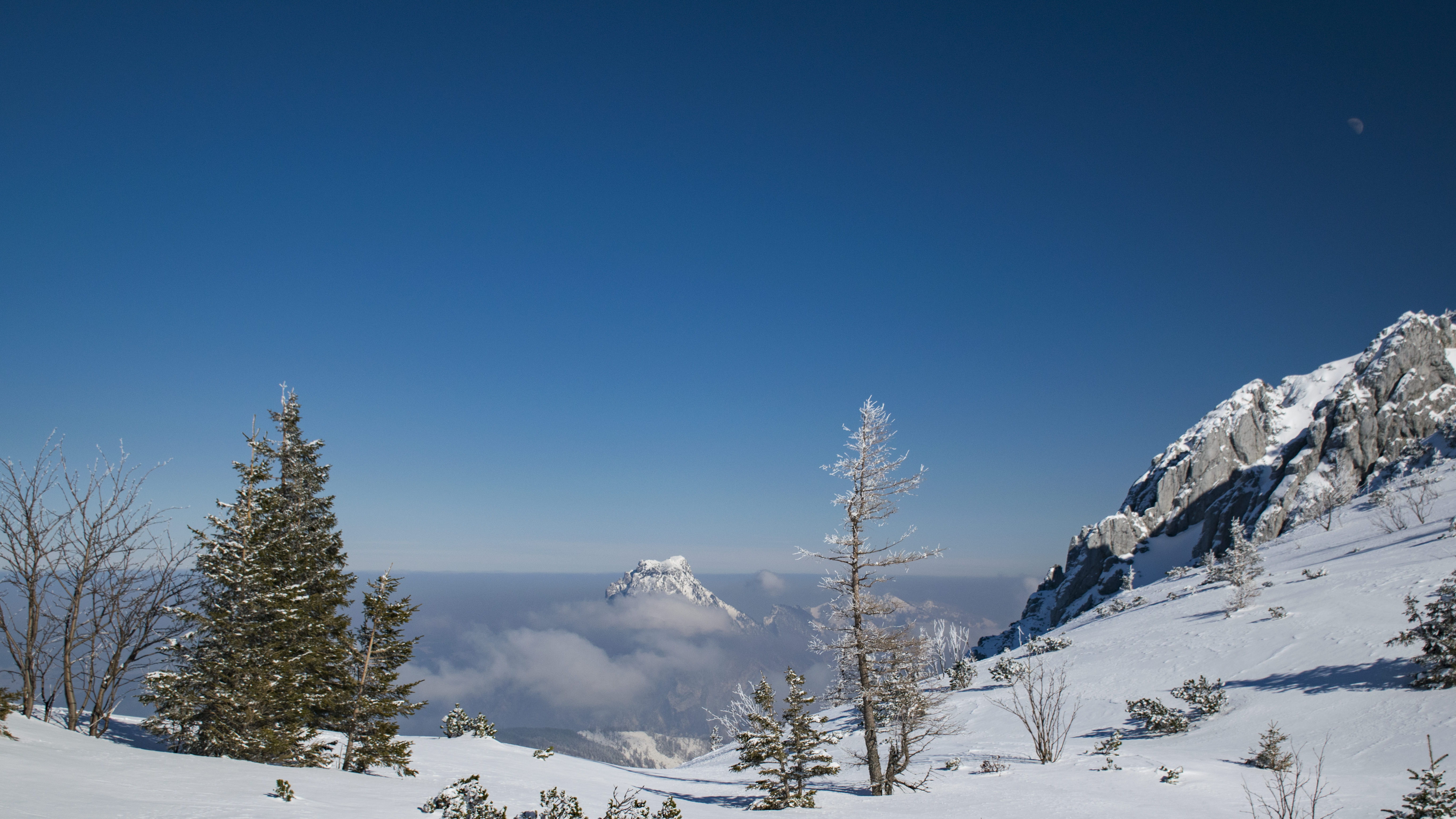 20180224 131059  DSC6070