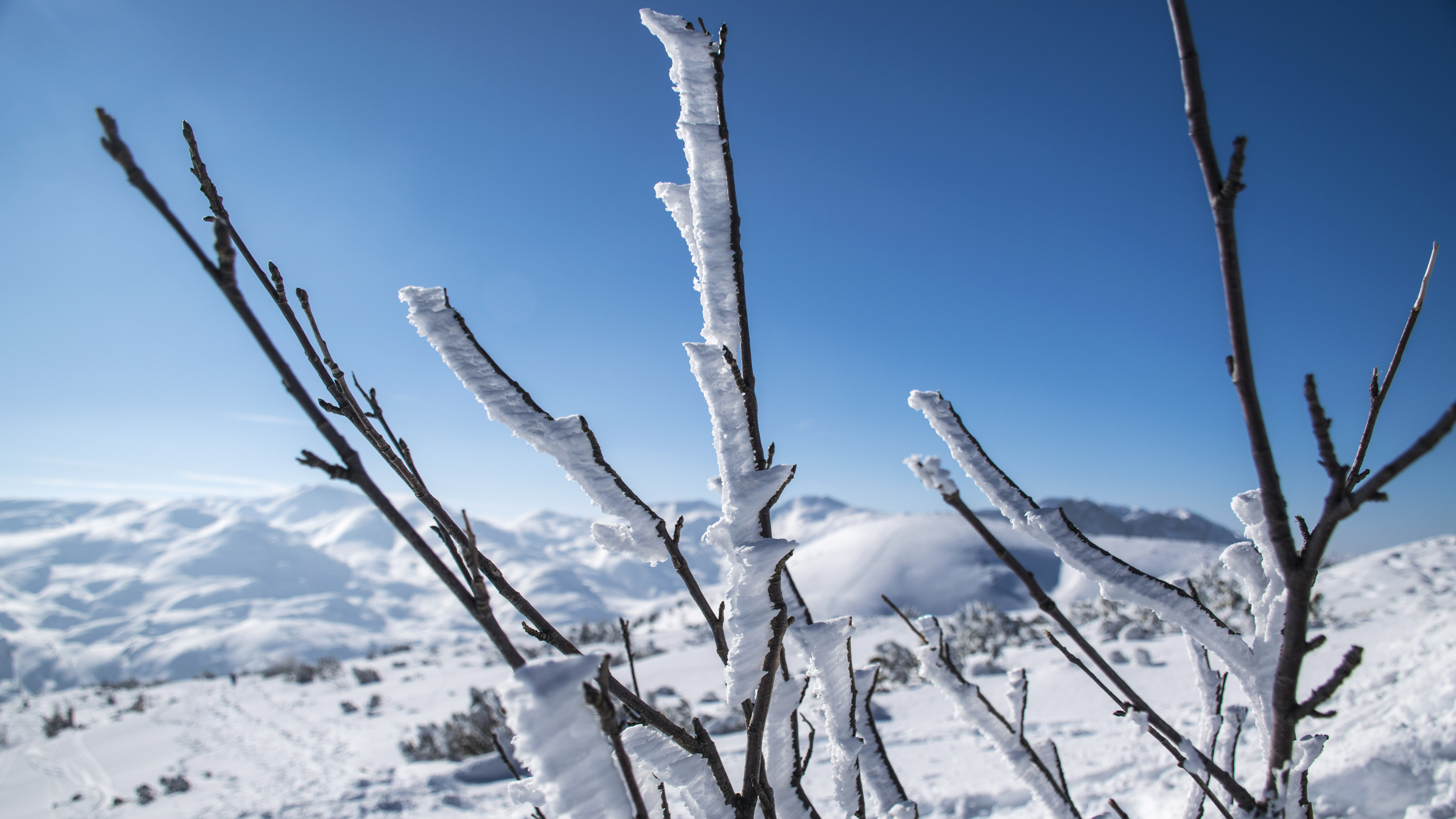 20180224 142450  DSC6103