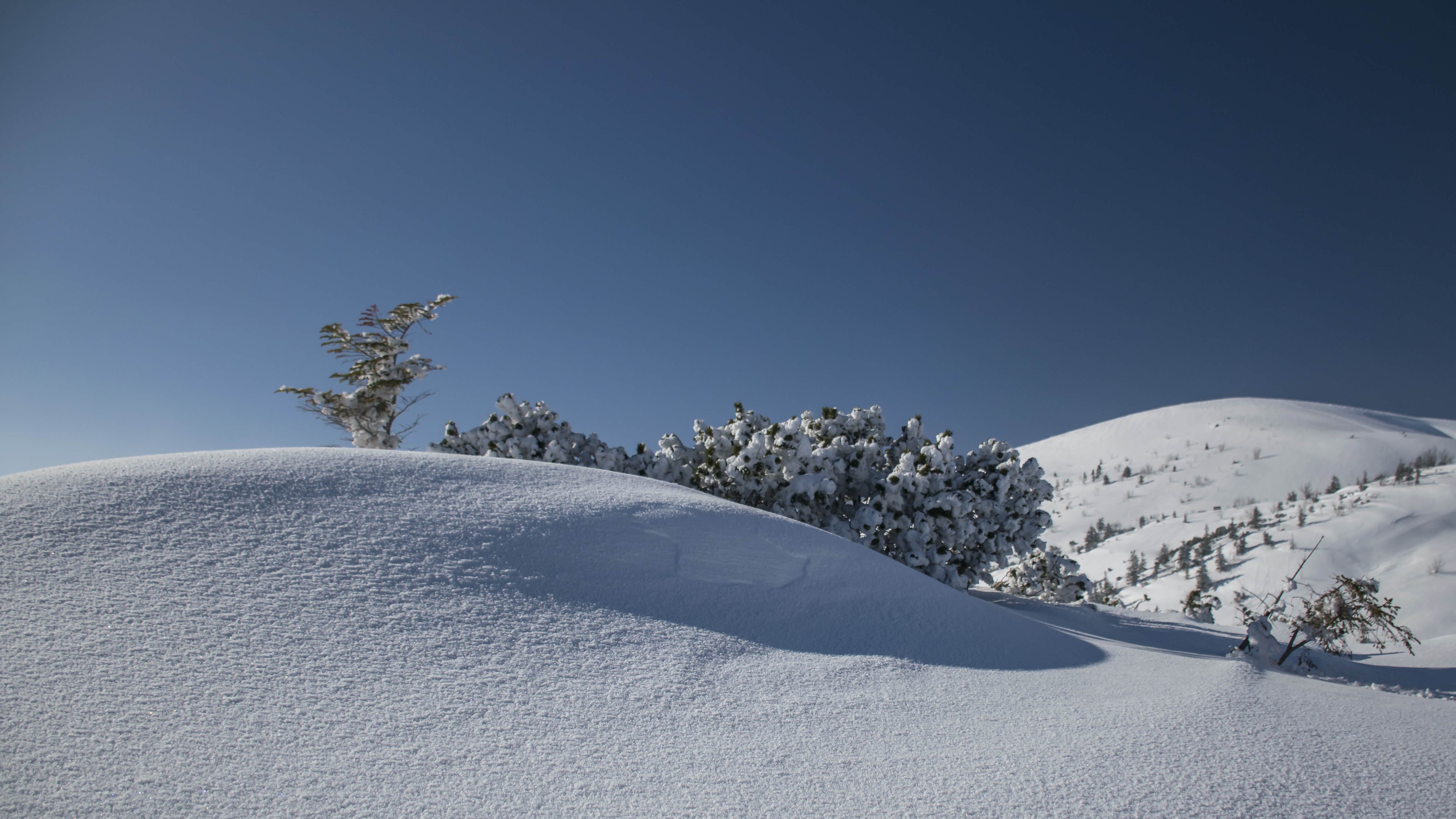 20180224 145139  DSC6110