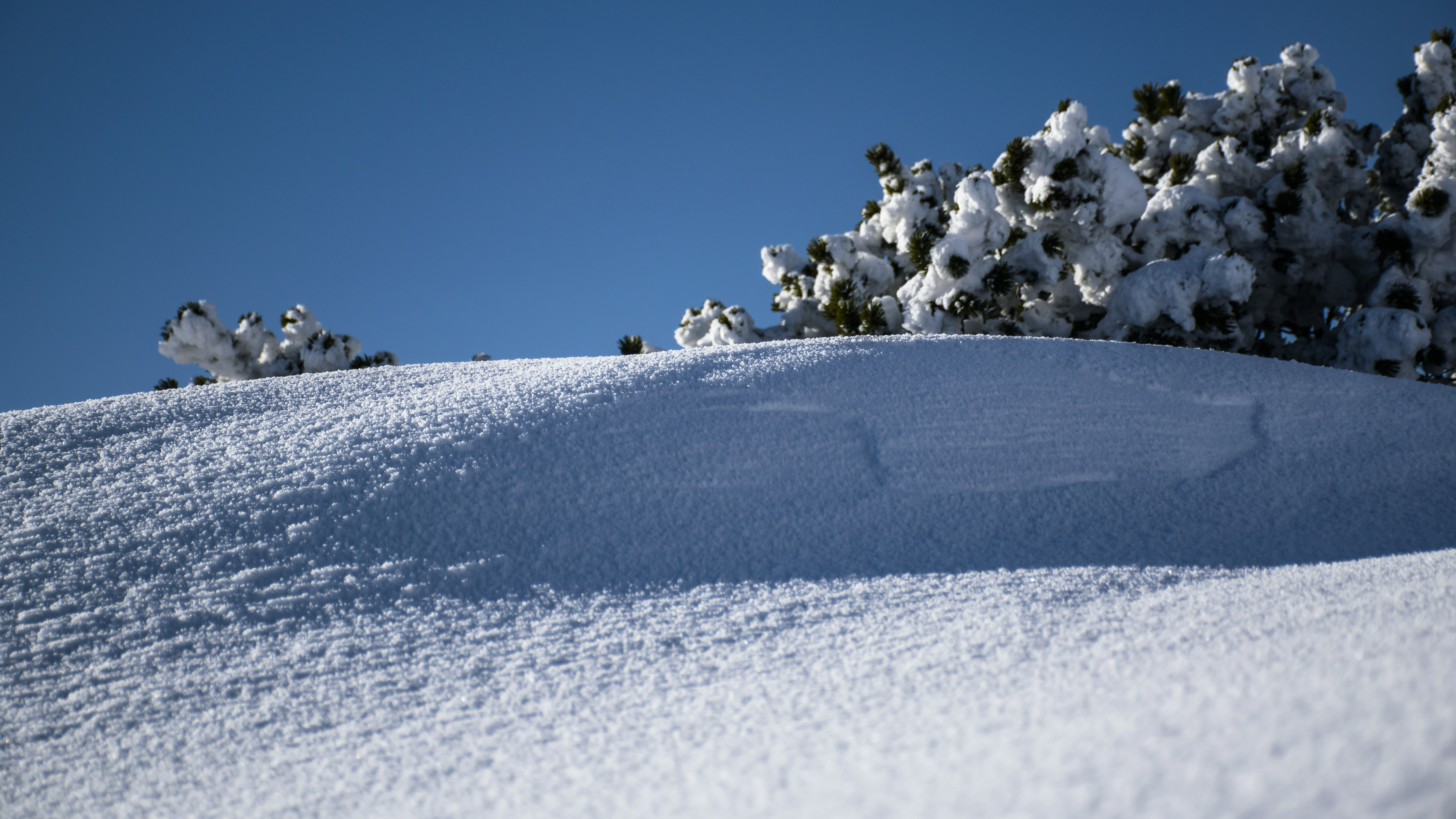 20180224 145238  DSC6113