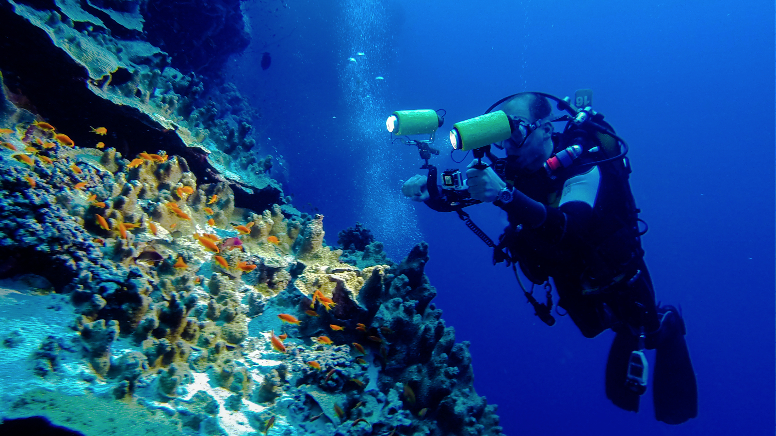 Unterwasserimpressionen